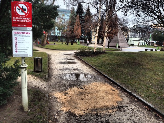 Gerade bei Nässe gibt der Hessenpark ein erbärmliches Bild ab. | Foto: Bürgerinitiative Lebenswerter Hessenplatz und Umgebung