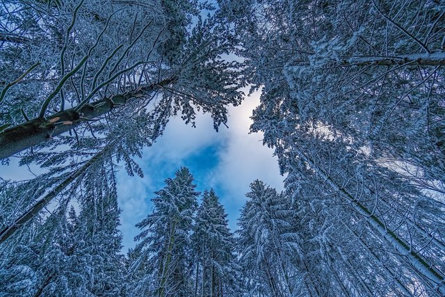 Oberösterreich. Ein Blick in den Himmel.