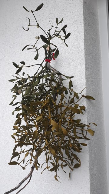Foto: Lackinger
