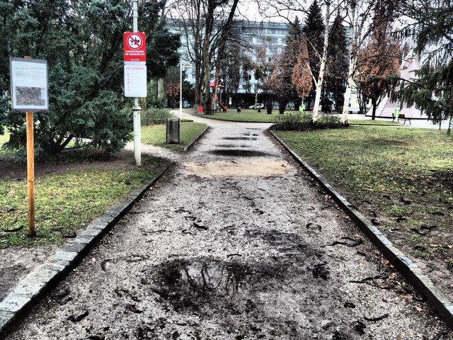 Die Wege im Hessenpark sind in einem schlechten Zustand. | Foto: Bürgerinitiative Lebenswerter Hessenplatz und Umgebung