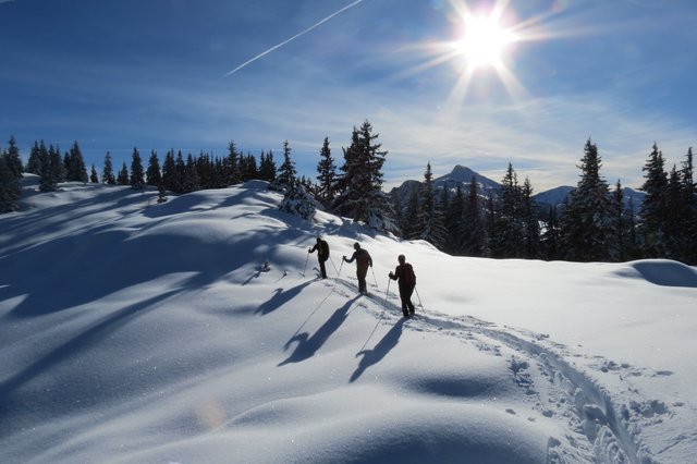 Frische Spur am Vorderen Labeneck. Ein Wintermärchen. | Foto: Thomas Neuhold