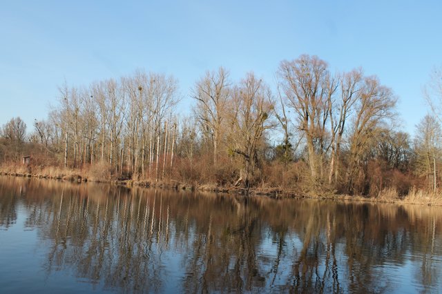 Mitterwasser im Steiningerrecht | Foto: Losbichler