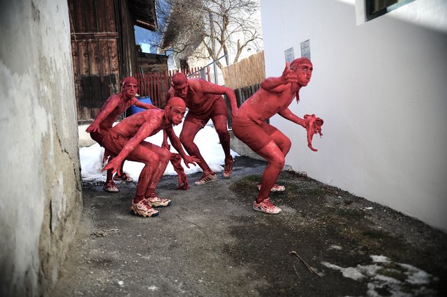 Wer glaubt, einer Begegnung in dieser Art nicht gewachsen zu sein, sollte am Unsinnigen enge Axamer Dorfgassen meiden ... | Foto: Hassl