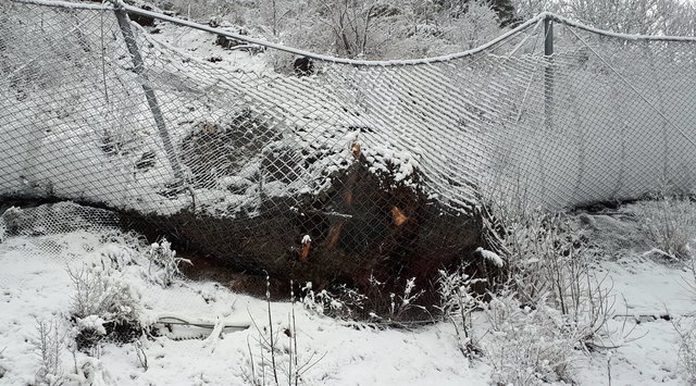 100 Kubikmeter Fels und Geröll sind im Bereich Urgen an der L 76 Landecker Straße vom seit 2016 bestehenden Steinschlagschutz zurückgehalten worden.  | Foto: Land Tirol/BBA Imst