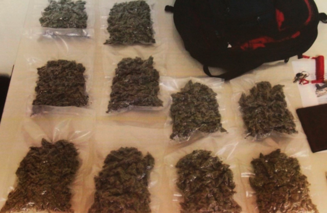 Ermittler vom Polizeikommando Neusiedl am See konnten den Tätern u.a. den Verkauf von 314 Kg Cannabis nachweisen. | Foto: LPD