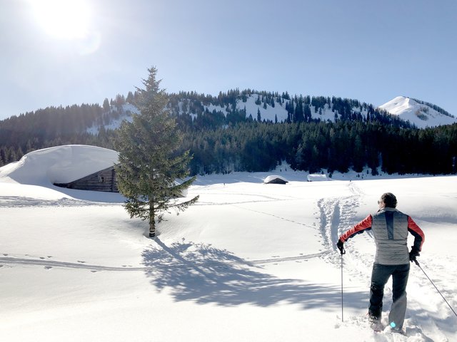 Eine weite, schneebedeckte Winterlandschaft, die man zum Beispiel mit den Schneeschuhen hervorragend erkunden kann findet man auf der Postalm.