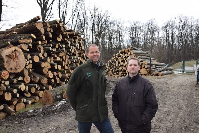 Bei der Waldbegehung mit Anrainer Wolfgang Sigmund (r.) erklärt Förster Günther Lauscher (l.), wieso Bäume geschlagen werden. | Foto: Kiesenhofer