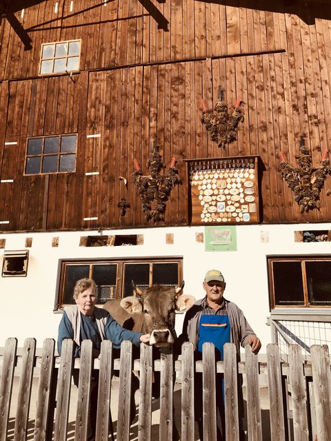 Helene und Alois Eiterer präsentierten die auf der Eliteauktion bei der Landesschau 2017 angekaufte Original Braunviehkalbin Heidi. | Foto: Matthias Fankhauser