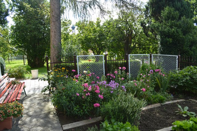 Im Frühling muss die Vorarbeit für einen blühenden Garten geleistet werden. Einige Pflanzen brauchen extra Pflege.