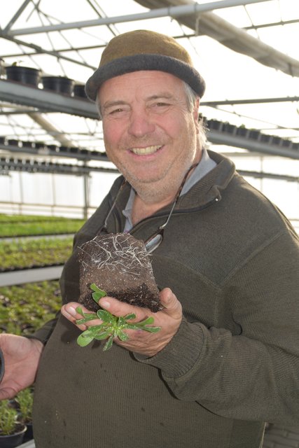 Das Motto von Naturgärtner Michael Wedenig: Gesunde Pflanzen in gesunder Erde | Foto: Friessnegg