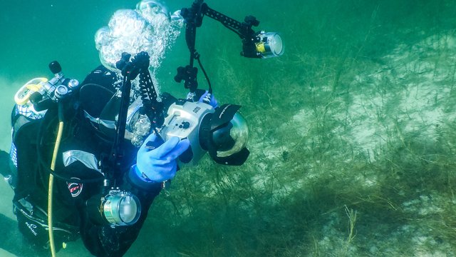 Foto: Fotokerschi.at/Kerschbaummayr