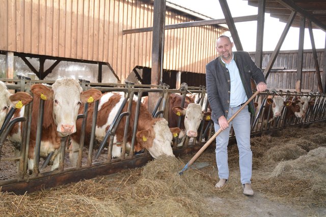 Biobauer Markus Wandl aus Oberlainsitz in der Gemeinde St. Martin hat sich auf die Kalbinnenaufzucht spezialisiert. 