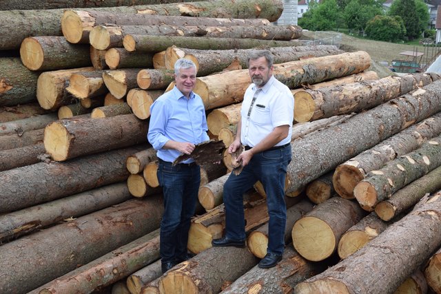 Die gefällten Fichten als Sinnbild für die Herausforderungen der Bauernschaft – Bauernbund-Obmänner Anton Kasser und Josef Aigner. | Foto: privat