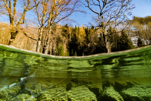 Foto: Fotokerschi.at/Kerschbaummayr