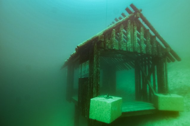 Foto: Fotokerschi.at/Kerschbaummayr