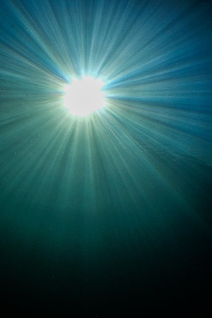 Foto: Fotokerschi.at/Kerschbaummayr