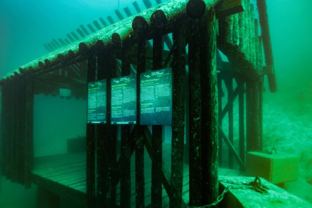 Foto: Fotokerschi.at/Kerschbaummayr