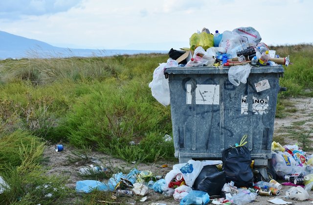 300 Jahre brauchen Plastikflaschen um zu verrotten. Dennoch landen sie immer wieder auf Wanderwegen oder Straßenrändern.