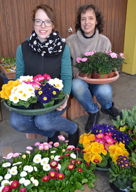 Die Blumen-Experten Lisa und Margit Auer betreiben eine Gärtnerei und ein Blumengeschäft in St. Valentin. | Foto: BRS