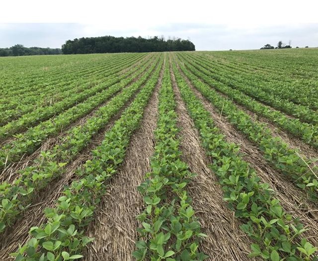 HLBLA St. Florian: Kanadischer Landwirt zu Gast an der HLBLA St