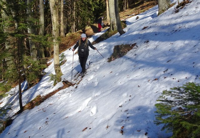 Schneeschuh-Wanderung mit Regionauten: Manuela Majer aus Wolfpassing kämpft sich durch den Wald in Reinsberg. | Foto: Franz Sturmlechner