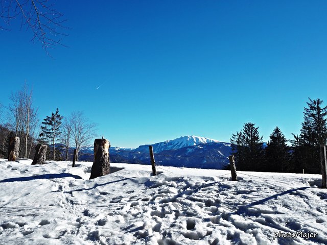 Schneeschuh-Wanderung mit Regionauten: Am Runzelberg in Reinsberg wird man mit diesem herrlichen Ausblick auf den Ötscher belohnt. | Foto: Manuela Majer