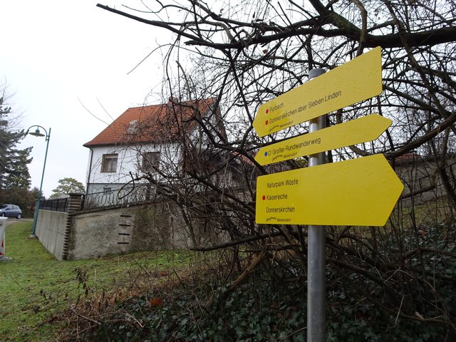 Am Ortsrand von Mannersdorf habe ich unmittelbar neben dem Hinweisschild einen Waldrebenstrauch entdeckt, ...
