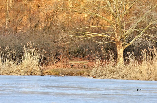 Ein Platz in der Sonne am Thalersee