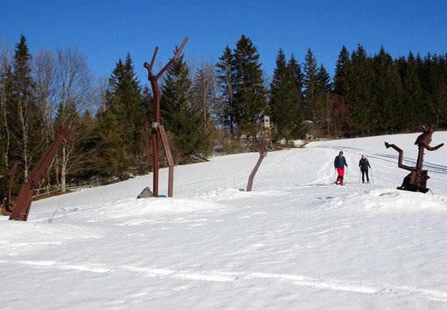 Schneeschuh-Wanderung mit Regionauten: Nun geht's wieder hinab in Richtung Hochschlag.