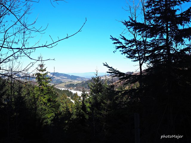 Schneeschuh-Wanderung mit Regionauten: Richtig mystisch wirkt der Wald in Reinsberg. | Foto: Manuela Majer