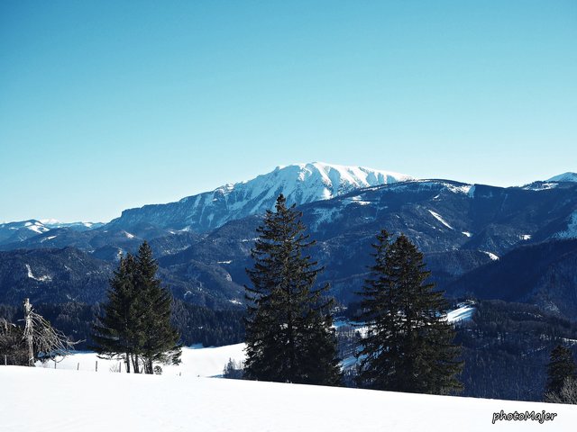 Schneeschuh-Wanderung mit Regionauten: Vom Hochschlag ging's weiter auf den Runzelberg. | Foto: Manuela Majer