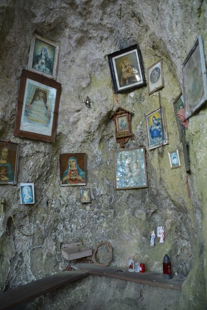 Schneeschuh-Wanderung mit Regionauten: Richtig mystisch wirkt der Wald in Reinsberg. | Foto: Roland Mayr