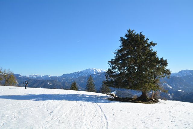 Schneeschuh-Wanderung mit Regionauten: Am Runzelberg wird man diesem herrlichen Blick auf den Ötscher belohnt. | Foto: Roland Mayr