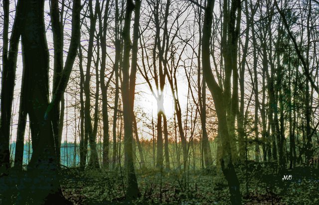 Sonnenuntergang am See