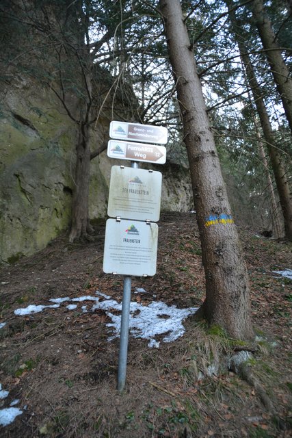 Schneeschuh-Wanderung mit Regionauten: Beim Frauenstein in Reinsberg. | Foto: Roland Mayr