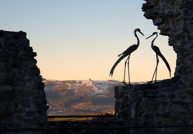 Schneeschuh-Wanderung mit Regionauten: Auf der Burgruine Reinsberg. | Foto: Franz Sturmlechner