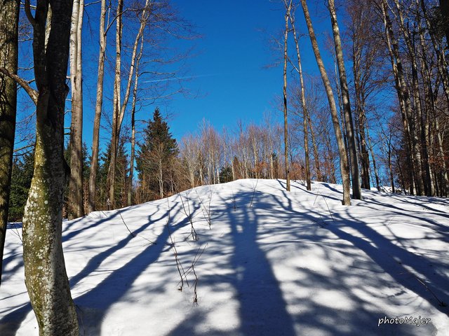 Schneeschuh-Wanderung mit Regionauten: Über den Dienstbergsattel ging's auf den Hochschlag und weiter auf den Gipfel des Runzelbergs. | Foto: Manuela Majer