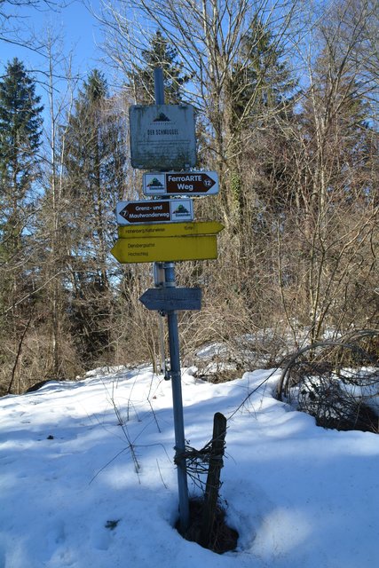 Schneeschuh-Wanderung mit Regionauten: Auf dem Mautwanderweg in Reinsberg. | Foto: Roland Mayr