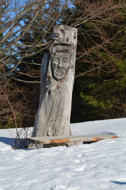 Schneeschuh-Wanderung mit Regionauten: Vom Hochschlag ging's weiter auf den Runzelberg. | Foto: Roland Mayr