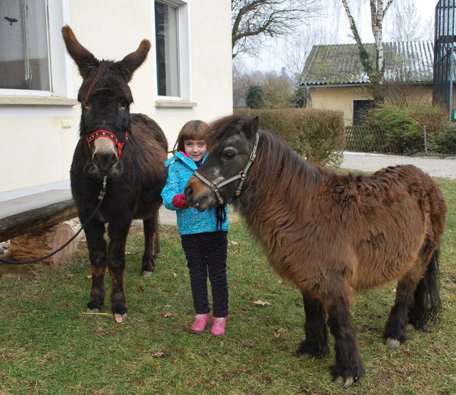 Foto: Tiergarten Walding