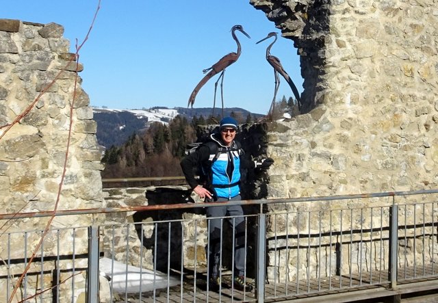 Schneeschuh-Wanderung mit Regionauten: Franz Sturmlechner aus Oberndorf an der Melk genießt den tollen Ausblick auf der Burgruine Reinsberg. | Foto: Franz Sturmlechner