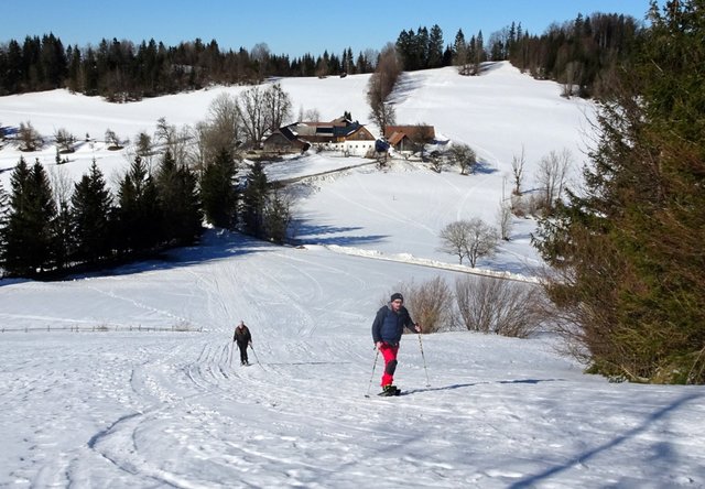 Schneeschuh-Wanderung mit Regionauten: Der letzte Anstieg auf den Runzelberg in Reinsberg. | Foto: Franz Sturmlechner