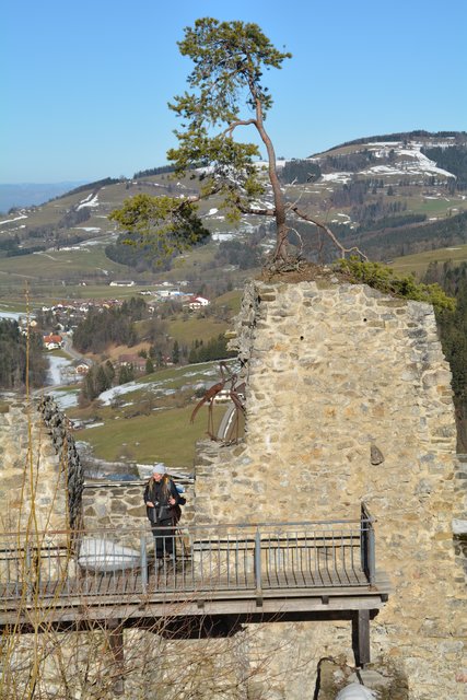 Schneeschuh-Wanderung mit Regionauten: Manuela Majer aus Wolfpassing genießt den Ausblick auf der Burgruine Reinsberg. | Foto: Roland Mayr