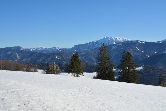 Schneeschuh-Wanderung mit Regionauten: Am Runzelberg wird man diesem herrlichen Blick auf den Ötscher belohnt. | Foto: Roland Mayr