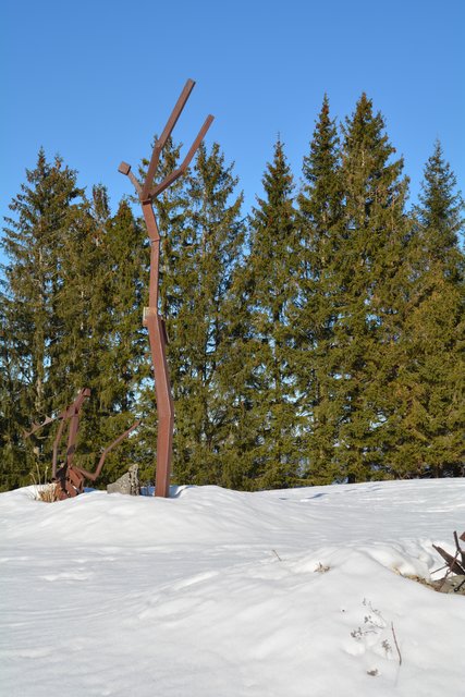 Schneeschuh-Wanderung mit Regionauten: Die Skulptur Sclavinia am Hochschlag. | Foto: Roland Mayr