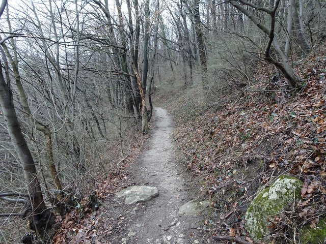 Nach dem Klettergarten führt ein markierter, schmaler Wanderweg letztendlich bis nach Mannersdorf.