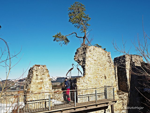 Schneeschuh-Wanderung mit Regionauten: Roland Mayr genießt den Ausblick auf der Burgruine Reinsberg. | Foto: Manuela Majer