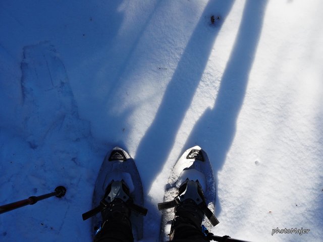Regionauten-Wanderung: Ohne Schneeschuhe geht jetzt gar nichts mehr. | Foto: Manuela Majer