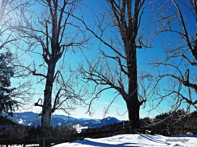 Schneeschuh-Wanderung mit Regionauten: Vom Hochschlag ging's weiter auf den Runzelberg. | Foto: Manuela Majer