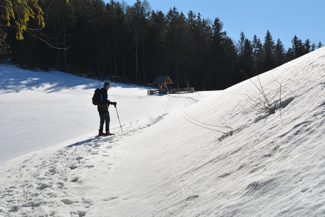 Schön liegt der Mostbrunnen da: Über den Dienstbergsattel ging's auf den Hochschlag und weiter auf den Gipfel des Runzelbergs. | Foto: Roland Mayr
